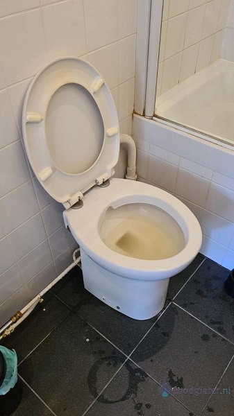  verstopping toilet Assendelft